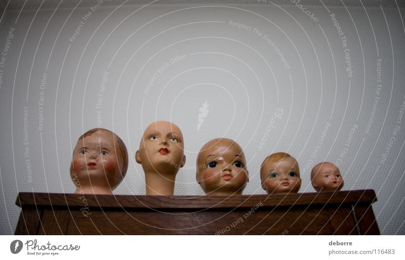 Fünf Babypuppenköpfe auf einem hölzernen Wandregal Regal braun Dekoration & Verzierung Puppe riesig Kopf Kind jung Reihe Sammlung Kindheit