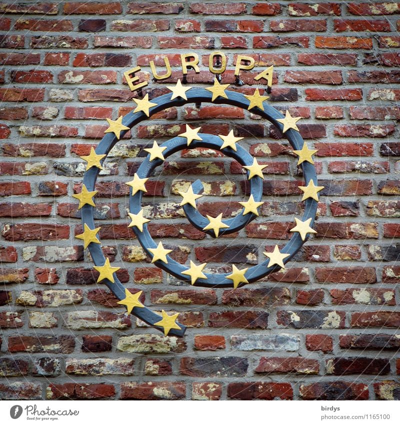Europa Mauer Wand Backsteinwand Spirale Stern (Symbol) Stein Metall Zeichen Schriftzeichen Eurozeichen ästhetisch authentisch elegant positiv rund selbstbewußt