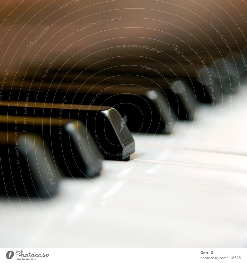 if I had a Hämmer Detailaufnahme Spielen Entertainment Musik Musiker Klavier Flügel Kunststoff schwarz weiß Konzentration Anschlag Tasteninstrumente Klaviatur