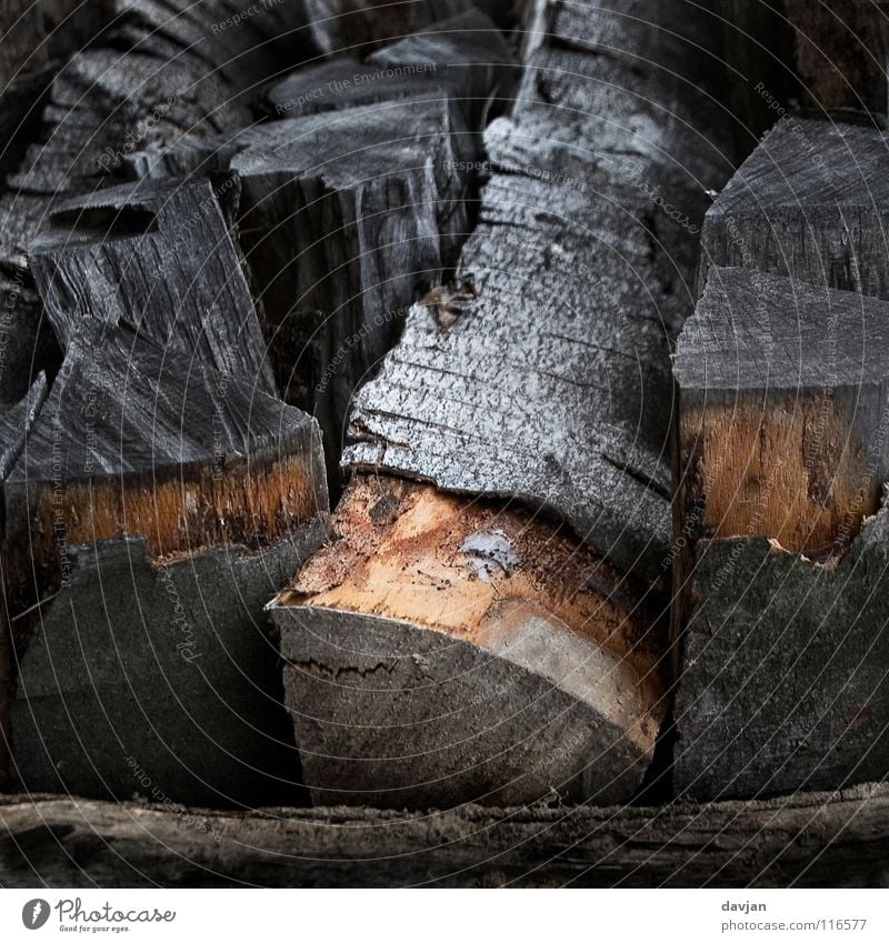 Holz vor der Hütte braun grau schwarz Faser Baumrinde Wetter Makroaufnahme Nahaufnahme Baumstamm Strukturen & Formen