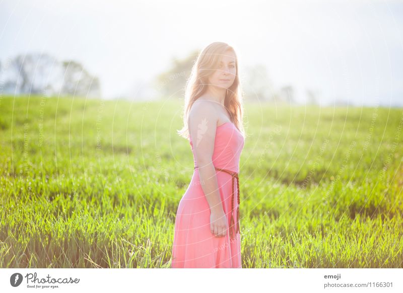 strahlend feminin Junge Frau Jugendliche 1 Mensch 18-30 Jahre Erwachsene Sommer Wiese Kleid schön natürlich grün rosa Farbfoto Außenaufnahme Tag Gegenlicht