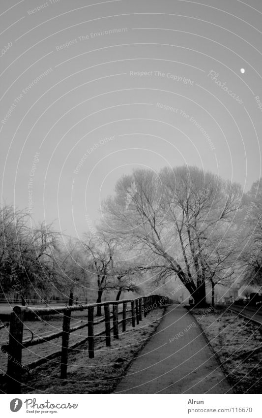 Kalter Weg Baum Zaun kalt grau Winter Wege & Pfade Mond Frost Himmel