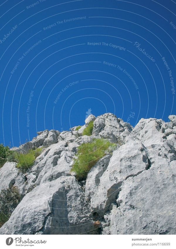 grey&blue&green grau grün Felsen himmelblau groß Ecke Top Klettern bewachsen hoch steinig Kroatien Berge u. Gebirge Himmel Stein Pflanze eckig oben aufwärts