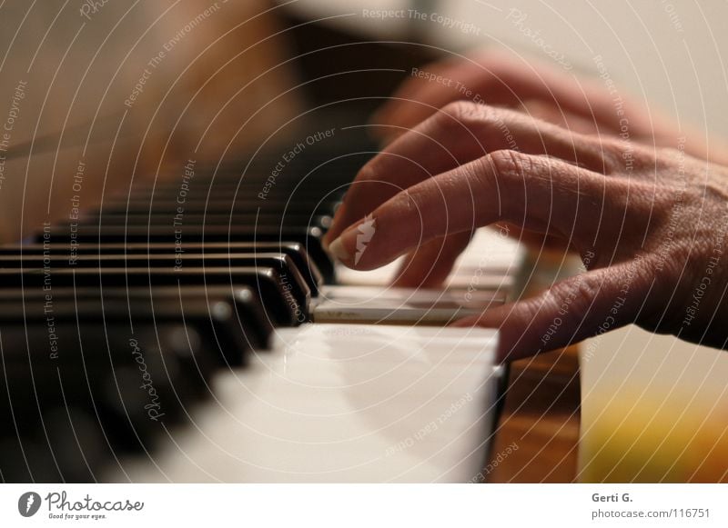 *klimper Hand Finger Griff Akkord dritte Klavier Anschlag Tasteninstrumente Klaviatur schwarz weiß Tiefenschärfe Spielen Klavier spielen Klassik klassisch