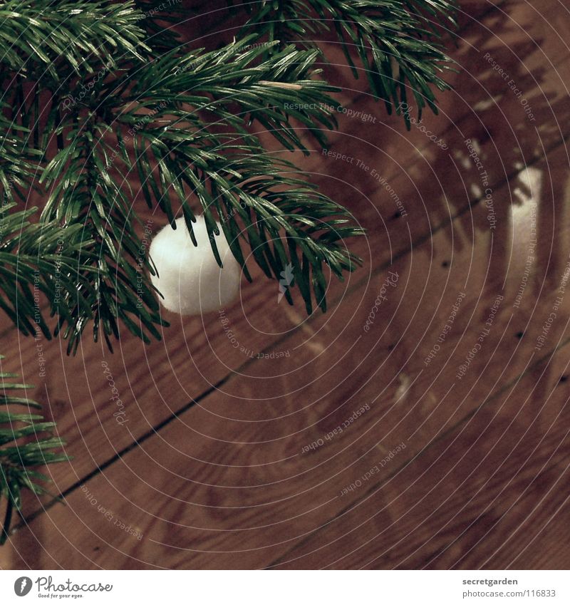für weihnachten zweitausendacht Tanne Tannennadel Christbaumkugel braun grün Physik weiß Schneeflocke weich Weihnachtsdekoration Schmuck Stimmung Gefühle
