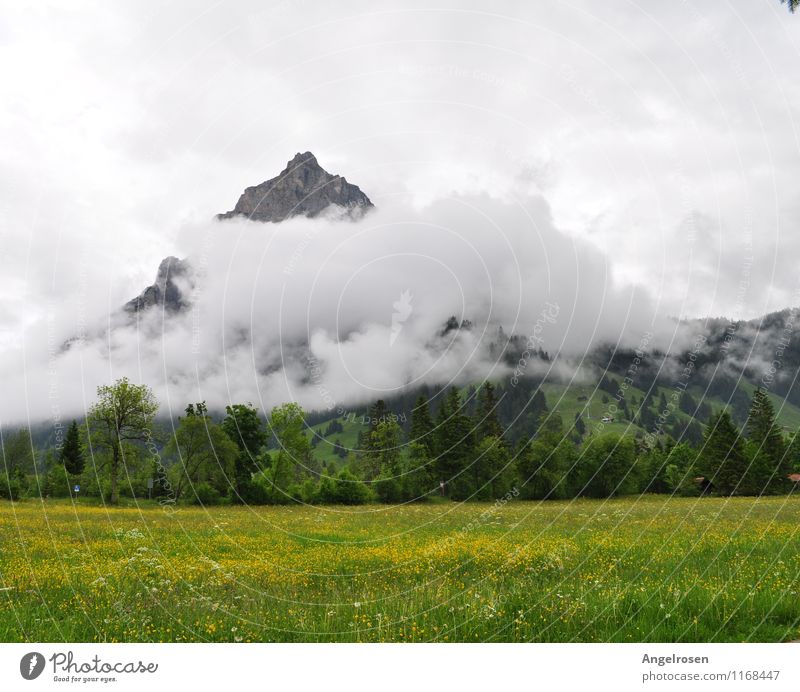Wolkenverhangen Natur Landschaft Sommer Wetter Gras Berge u. Gebirge Gipfel Gefühle Stimmung ästhetisch einzigartig Erholung erleben Freiheit Freizeit & Hobby