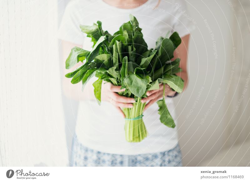 Spinat Lebensmittel Gemüse Salat Salatbeilage Ernährung Bioprodukte Vegetarische Ernährung Diät Lifestyle schön Gesundheit Behandlung Alternativmedizin