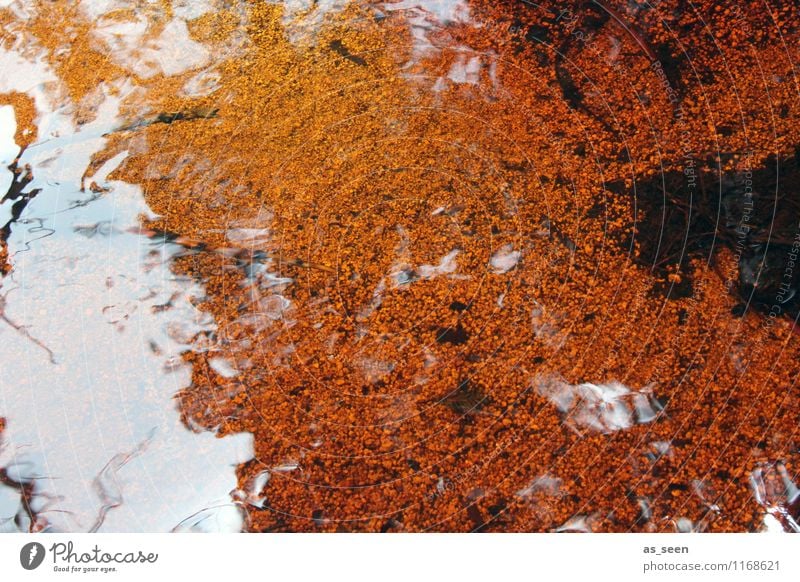 Feuerwasser Umwelt Natur Landschaft Urelemente Erde Sand Wasser Klima ästhetisch außergewöhnlich gruselig nass orange rot schwarz Tod Rache Aggression Abenteuer