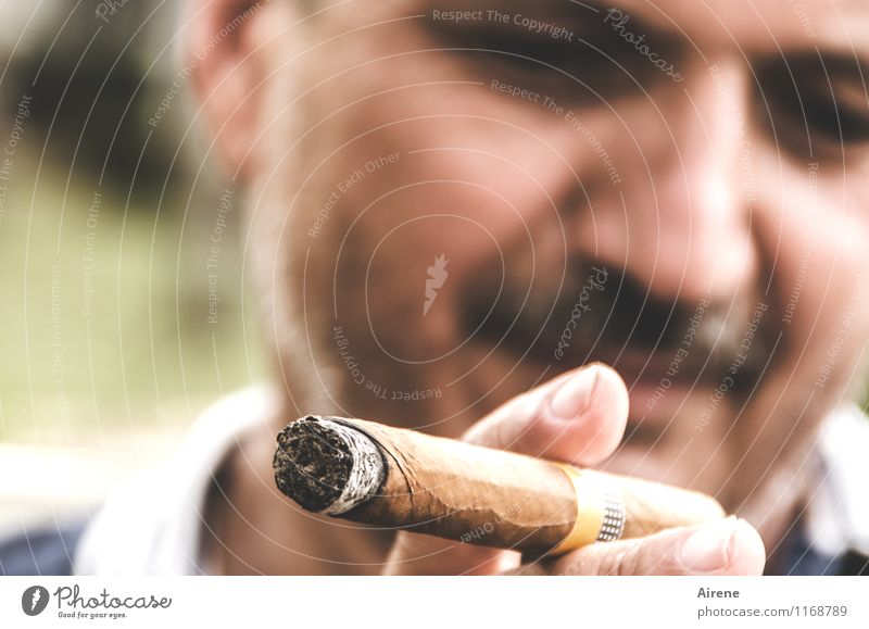 unser Mann in Havanna Reichtum Rauchen Tourismus maskulin Erwachsene Gesicht Bart Finger 1 Mensch 45-60 Jahre Kuba Zigarre Lächeln Glück braun Zufriedenheit