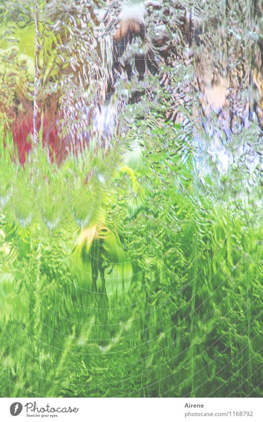 der Lauf des Wassers Natur Landschaft Pflanze Garten Park Dekoration & Verzierung Brunnen Glas Glasscheibe fantastisch Flüssigkeit mehrfarbig grün rot