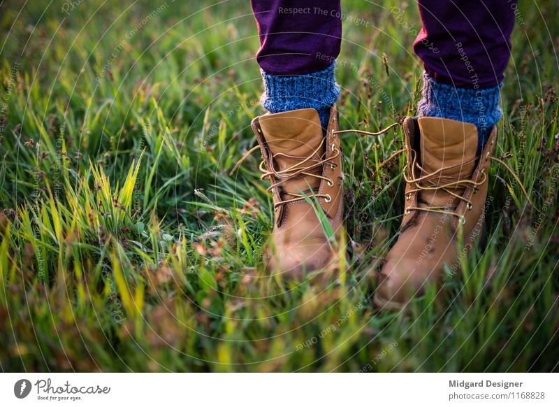 Auf der Wiese Freizeit & Hobby Ferien & Urlaub & Reisen Tourismus Sommer Fuß Gras Schuhe laufen Timberland Socken Wohlgefühl grün offene Schuhe stehen Natur