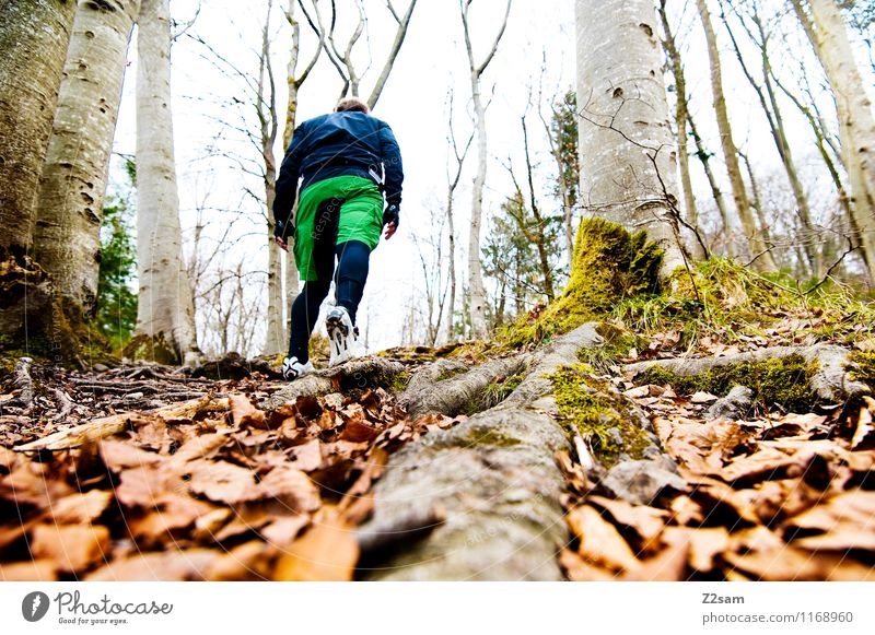Aufstieg 2300 Lifestyle Freizeit & Hobby Ausflug Fahrradtour Sport Fahrradfahren wandern Mann Erwachsene 30-45 Jahre Natur Landschaft Herbst Schönes Wetter Baum