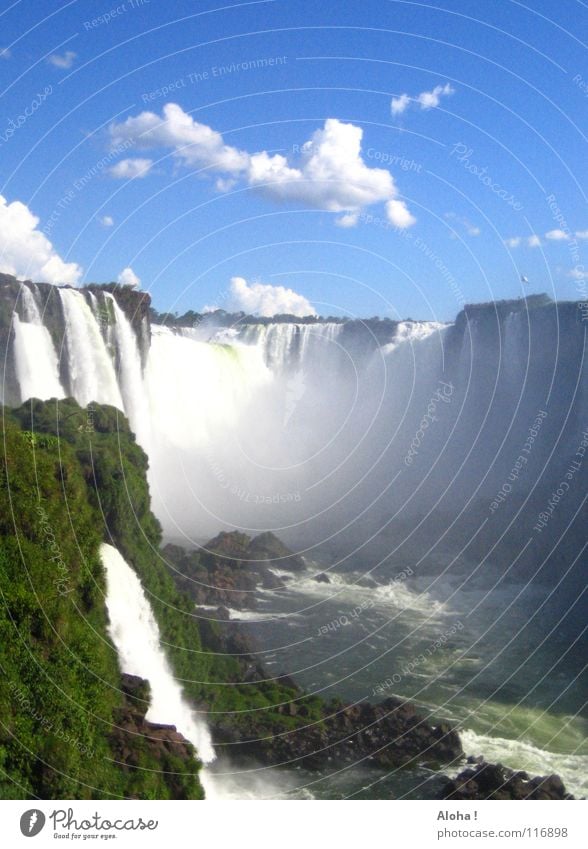 „Poor Niagara!“  I Strömung Berghang Brasilien Argentinien Kunst Wassermassen Pflanze Gewässer Tourismus Baum Wolken Horizont Wassertropfen Tourist Gischt Nebel