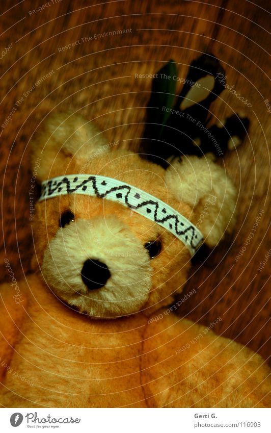 Indianerbär Teddybär Gummi Feder Plüsch Spielzeug Spielen Holz Stofftiere Trauer bespielen Dinge Verzweiflung Schwäche Bär indianerschmuck Schnur