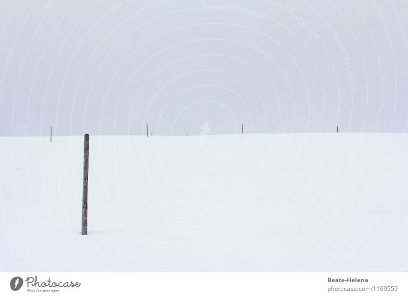 sw | minimalistisch Ruhestand Natur Landschaft Winter Wetter Schnee Feld Hügel Menschenleer außergewöhnlich schwarz weiß Stimmung Schutz standhaft Zufriedenheit