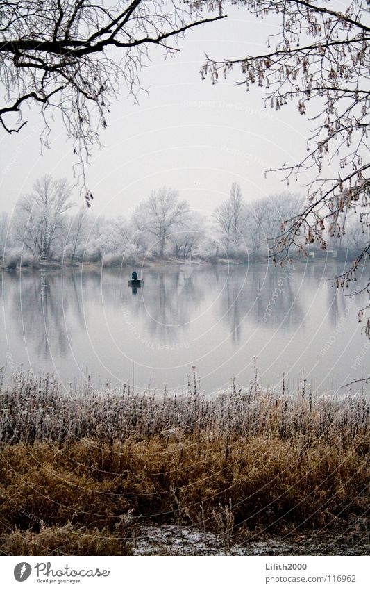 Allein auf dem See Teich Winter Baum kalt Angler Angeln Angelrute Wasserfahrzeug Rudern Gras braun beige weiß Spiegel Klarheit Schnee Frost Eis Zweig Ast Küste