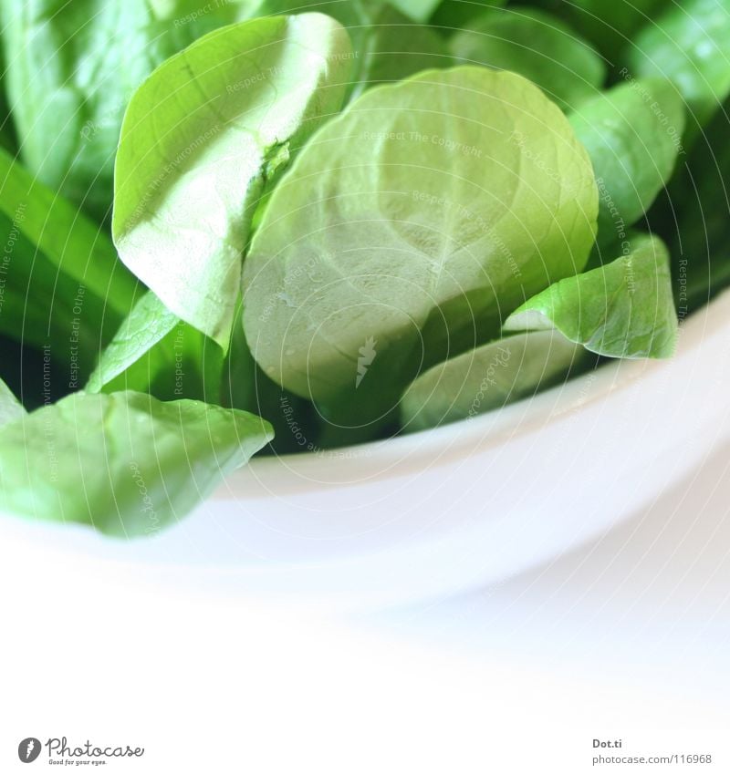 100 g 2,99 € Lebensmittel Salat Salatbeilage Ernährung Bioprodukte Vegetarische Ernährung Diät Geschirr Schalen & Schüsseln Gesundheit frisch hell lecker grün