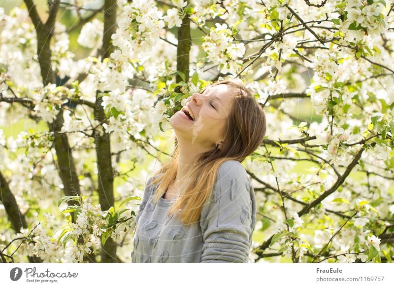 schlapplachen unterm blütenbaum Freude Glück feminin Junge Frau Jugendliche 1 Mensch 18-30 Jahre Erwachsene Natur Pflanze Sonne Frühling Schönes Wetter Baum