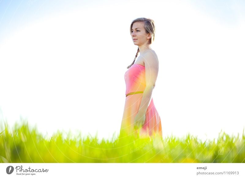Sommerwiese feminin Junge Frau Jugendliche 1 Mensch 18-30 Jahre Erwachsene Umwelt Natur Schönes Wetter Wiese schön natürlich Farbfoto Außenaufnahme