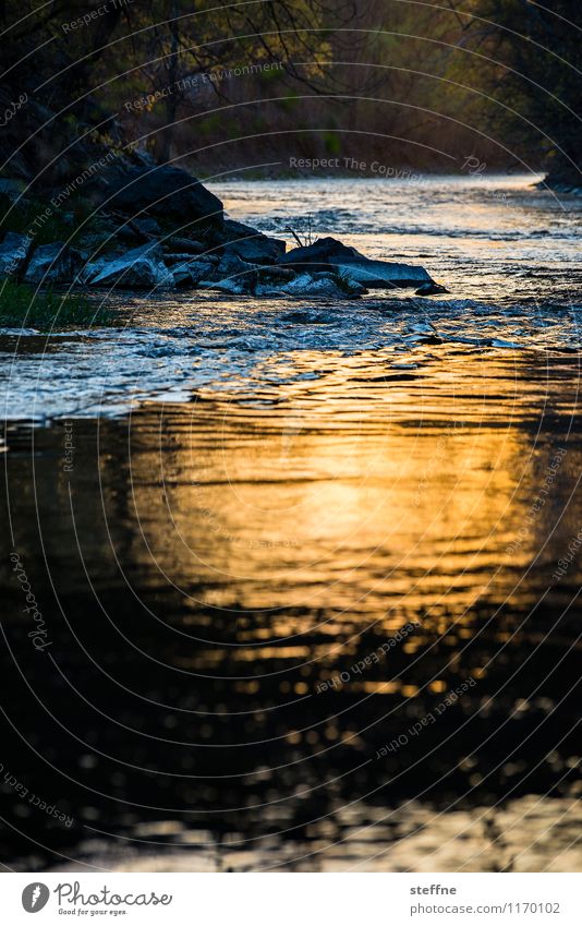 Natur V Sonnenaufgang Sonnenuntergang Sonnenlicht Flussufer Bach Idylle Reflexion & Spiegelung Farbfoto Außenaufnahme Menschenleer Dämmerung