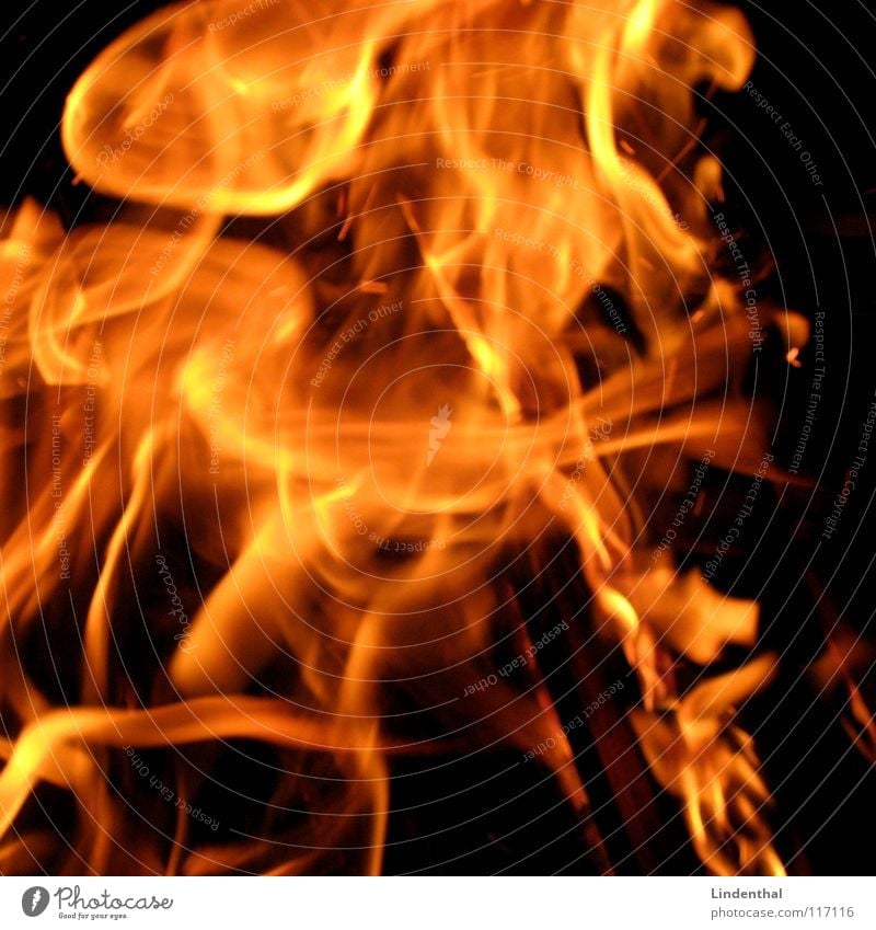 FLAMES Brand Physik heiß rot gefährlich Feuer Flamme Wärme Feuerstelle orange danger Schmerz chilie