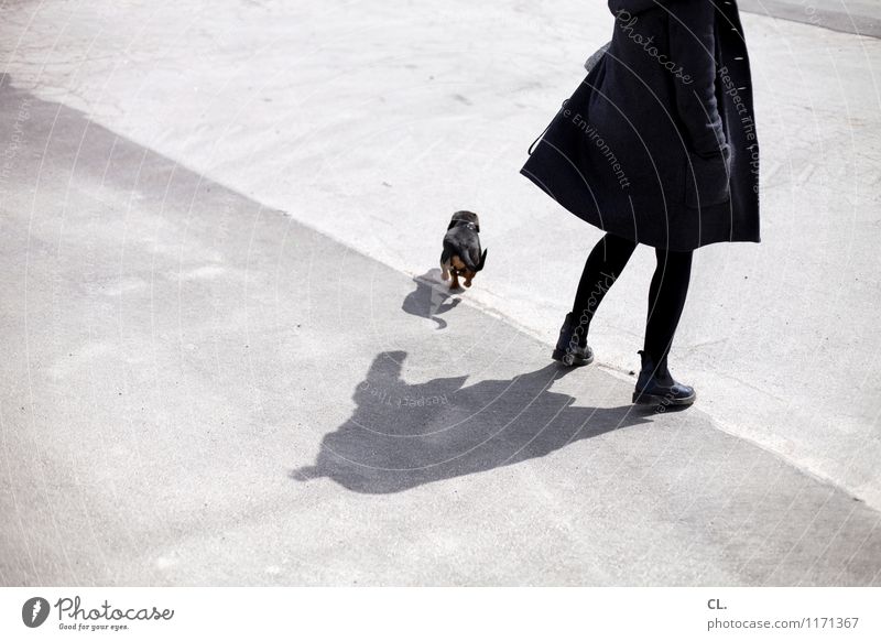 c und k Mensch feminin Frau Erwachsene Leben Beine 1 30-45 Jahre Mode Mantel Strumpfhose Stiefel Tier Haustier Hund Dackel Bewegung Farbfoto Gedeckte Farben