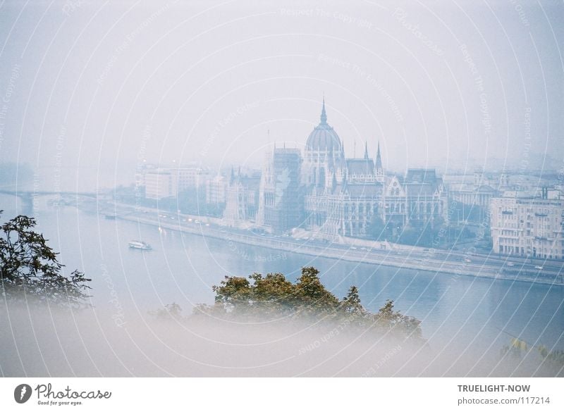 Budapest im Herbstlicht Ferien & Urlaub & Reisen Tourismus Städtereise Wasser Wolkenloser Himmel Schönes Wetter Nebel Fluss Hauptstadt Altstadt Dom Palast Park