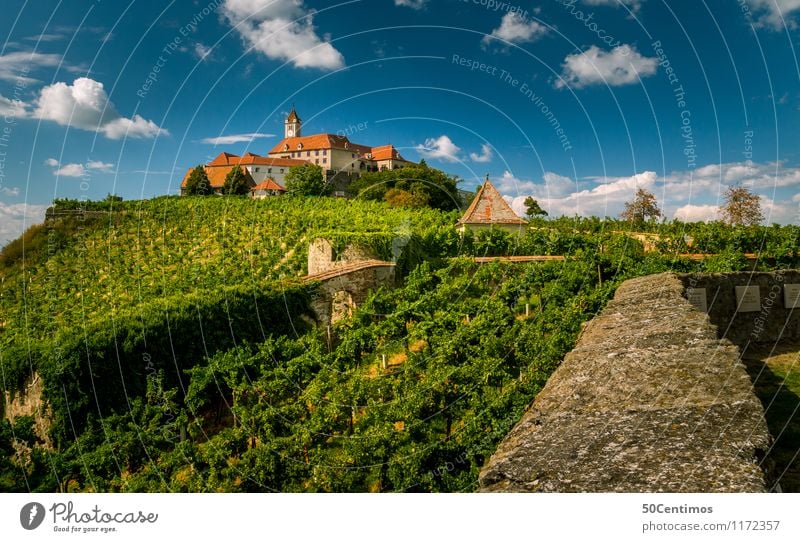 schloss riegersburg steiermark Tourismus Ausflug Natur Wolken Sommer Schönes Wetter Garten Wiese Feld Weinbau Bundesland Steiermark Österreich Burg oder Schloss