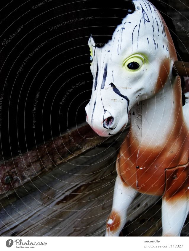 kriegspferd Pferd Krieg Spielzeug Vergänglichkeit Spielen Säugetier Schaukel streichen Kontrast Kindheit Auge