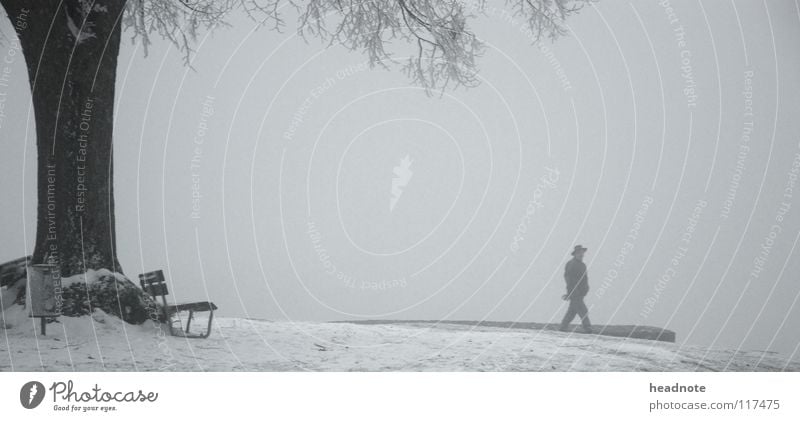 Winterruhe Nebel Baum wandern kalt weiß Platz ruhig Mann trist Eimer Mantel Verkehr Bank Einsamkeit Frost Schnee Ast Hut