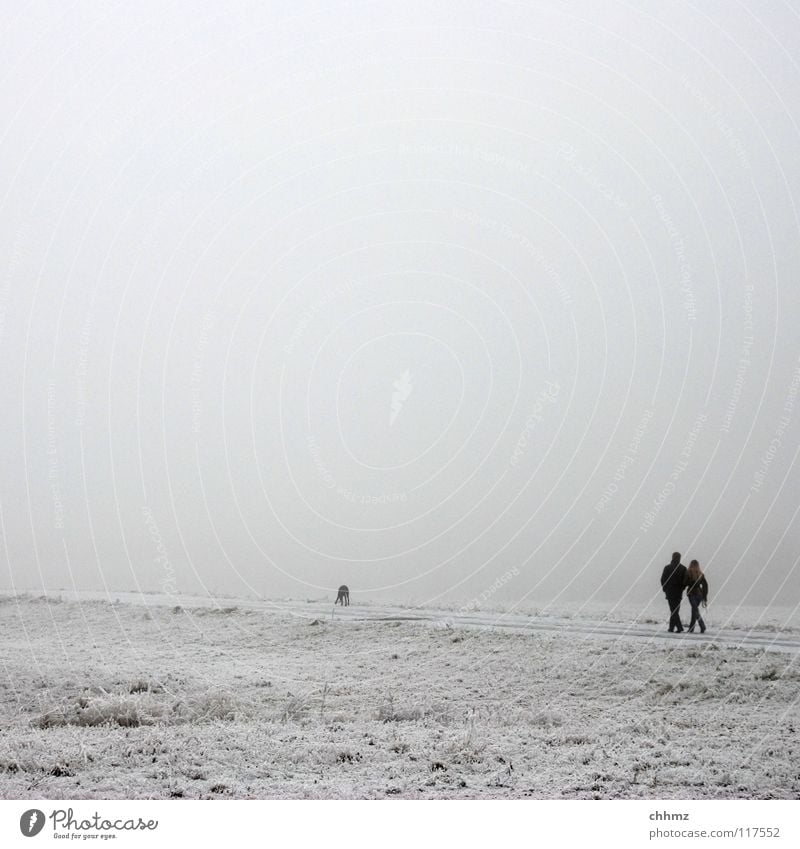 Weißinweiß Winter Eis Raureif Park Nebel Einsamkeit Baum horizontal Strukturen & Formen flach kalt einfarbig Hund diagonal Garten Frost Glätte weiß in weiß