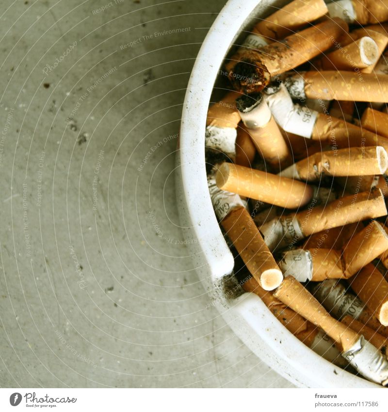 full ashtray Aschenbecher Zigarette Ekel Fensterbrett ungesund Farbe smoke Rauchen Brandasche stümmeln grauslich Nahaufnahme Alkoholisiert health