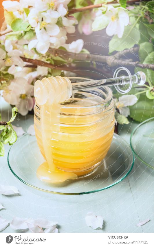 Frühlingshonig mit frischen Obstbaumblüten. Lebensmittel Dessert Süßwaren Ernährung Bioprodukte Vegetarische Ernährung Diät Glas Design Stil Honig