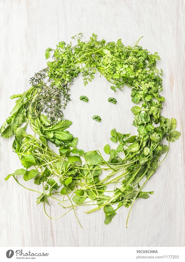 Frauengesicht aus frischen Kräutern Lebensmittel Salat Salatbeilage Kräuter & Gewürze Ernährung Bioprodukte Vegetarische Ernährung Diät Design Mensch Erwachsene