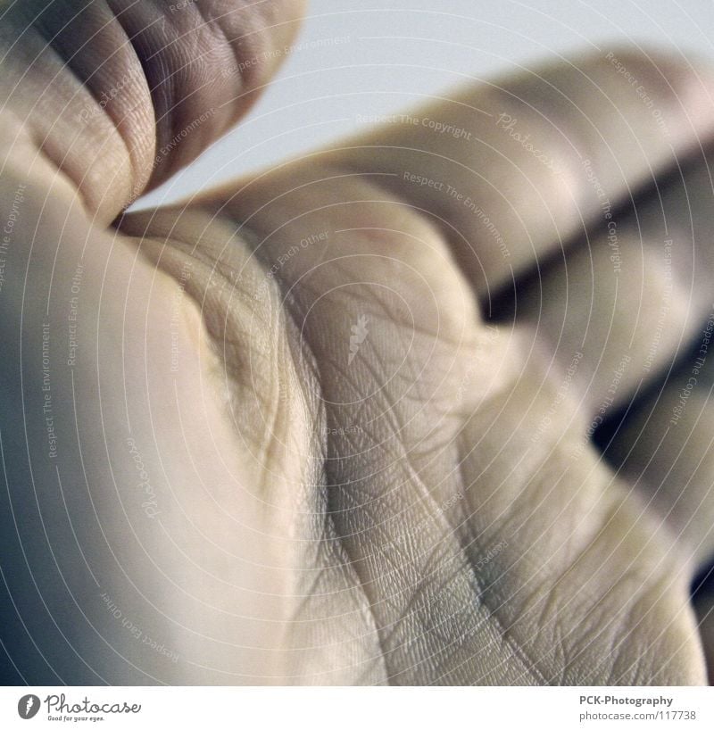 handwerk Hand Handfläche Pore Finger Daumen Einladung Hände schütteln Vertrauen Furche Haut Falte
