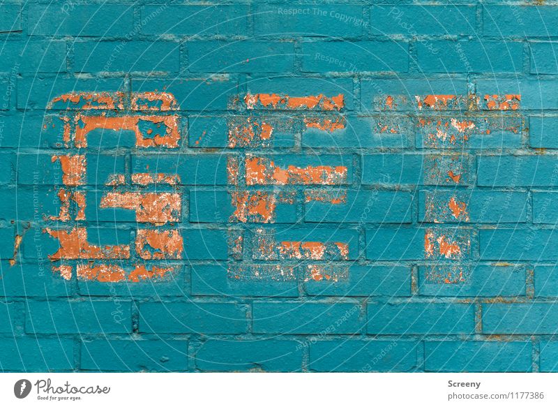 400 | UT Köln Backstein Schriftzeichen Schilder & Markierungen alt blau orange Senior Stadt abblättern Wort gemalt Farbfoto Außenaufnahme Detailaufnahme Tag