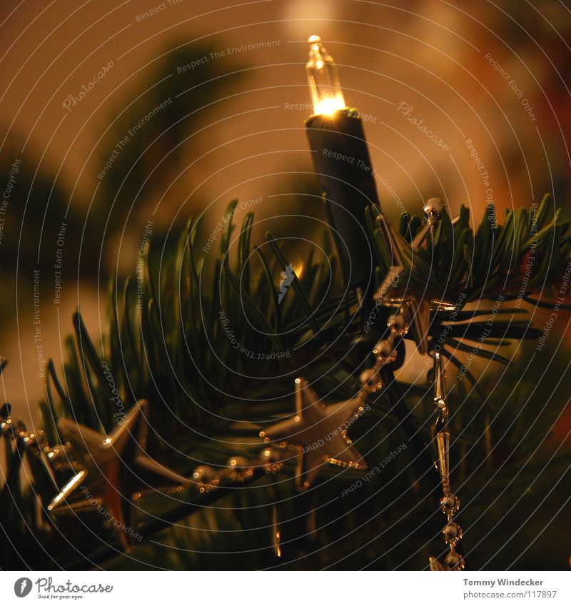 Alle Jahre wieder Weihnachtsbaum Kerze Christbaumkugel Baumschmuck Weihnachtsdekoration Tanne geschmückt Licht Weihnachten & Advent Schmuck Lichterkette