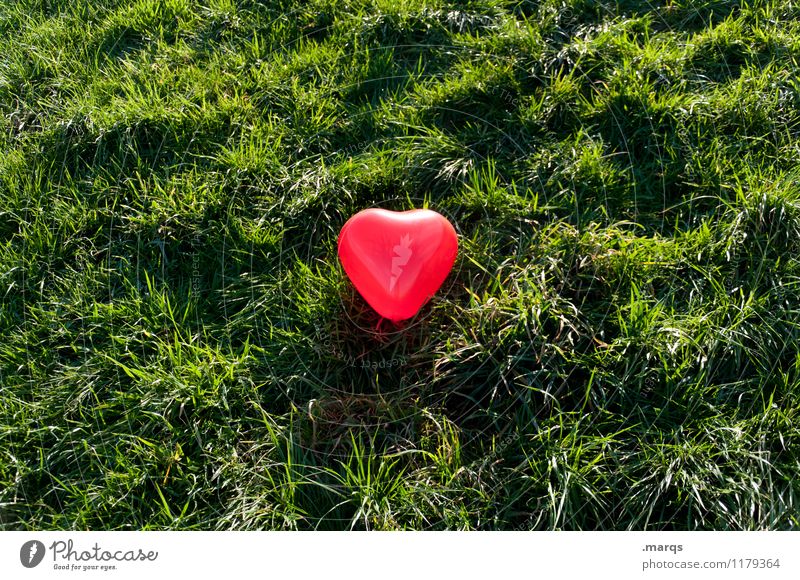 Freie Liebe Natur Wiese Herz grün rot Gefühle Lebensfreude Verliebtheit Romantik Partnerschaft Liebesaffäre Mittelpunkt Farbfoto Außenaufnahme