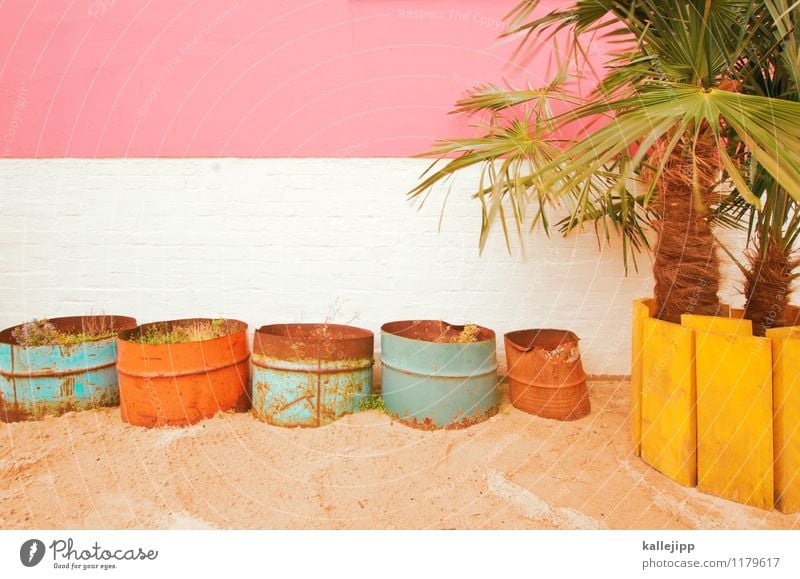 beach Lifestyle Stil Freude Freizeit & Hobby Grünpflanze exotisch trendy beachbar Strandbar Palme Fass Topf Sandstrand Fassade rosa weiß gelb orange türkis