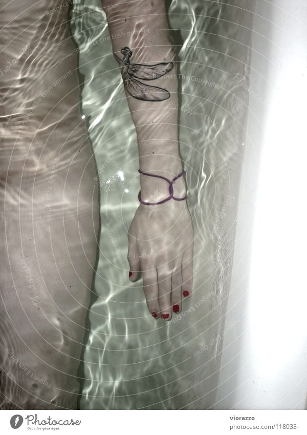libellenliebe. Badewanne Hand Nagellack Reflexion & Spiegelung nackt Libelle Wasser Körper Tattoo Junge Frau Frauenarm Frauenhand Fingernagel lackiert Armband