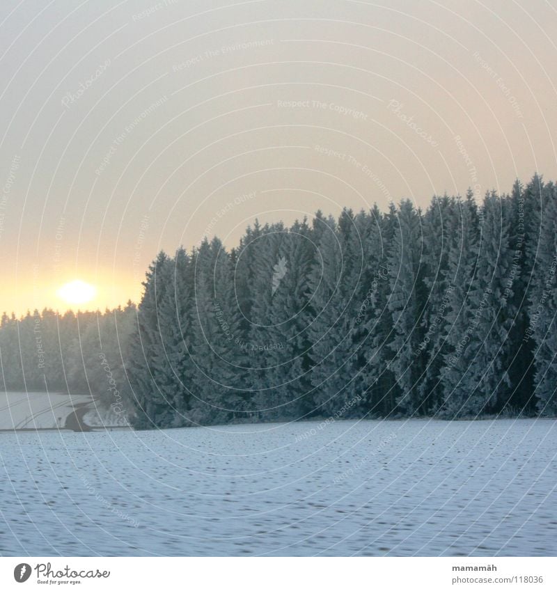 Winterstimmung schlechtes Wetter Wolken Feld Sonnenuntergang Baum Wald weiß Graupel Wege & Pfade Schnee
