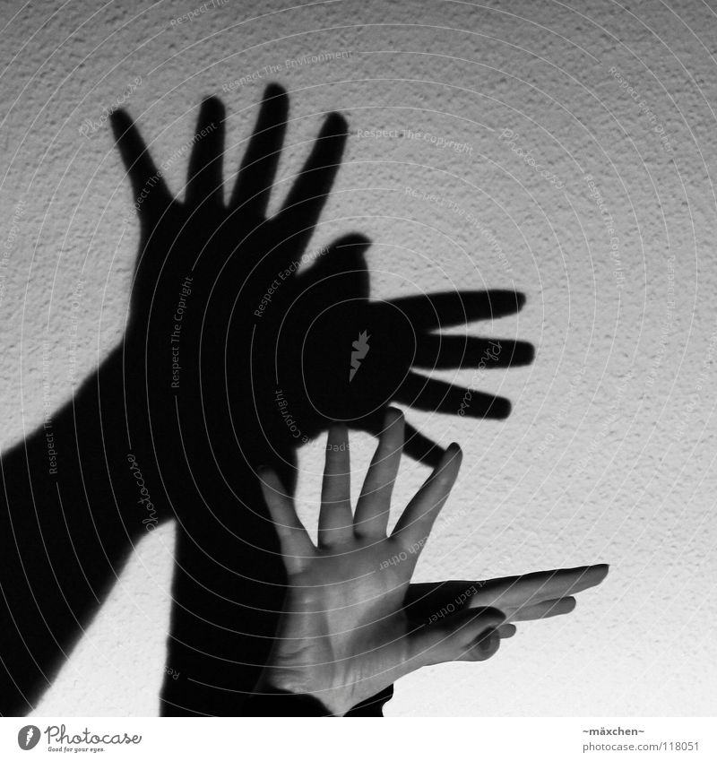 Schattenvogel Hand Finger Fingernagel Nagellack Vogel Wand Tapete Raufasertapete Licht dunkel Schattenspiel schwarz weiß grau Grauwert Frauenhand feminin