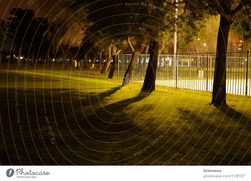 Safa Park 001 Dubai Nacht Baum Zaun Sportplatz Flutlicht Spielen Grass Rasen Schatten Basketball