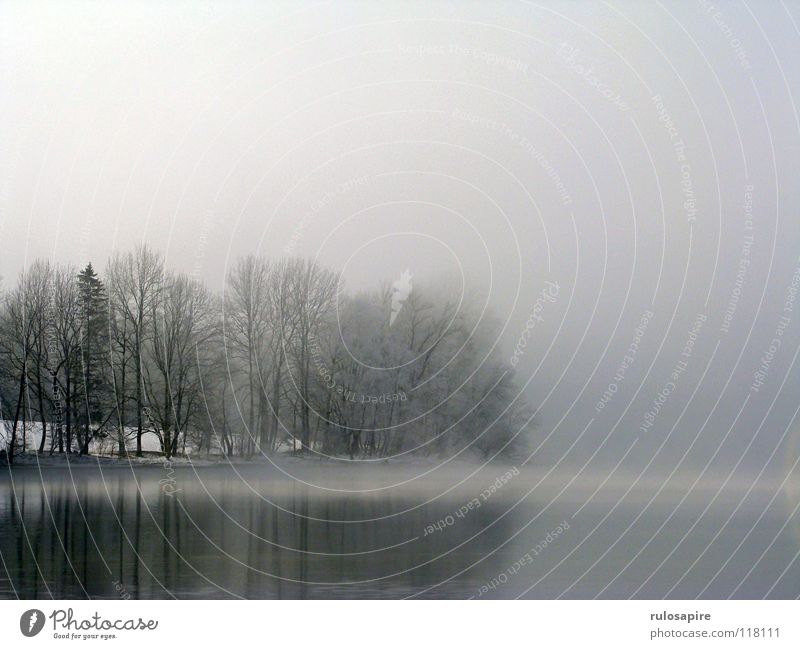 Silent Lake II See kalt Baum Winter grau schwarz Nebel Nebelbank Wolken mystisch schlechtes Wetter Trauer ruhig abgelegen Außenaufnahme Bayern Kochelsee Himmel