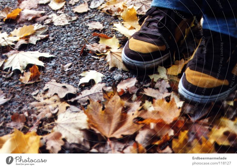 Tarnung Herbst Blatt mehrfarbig Schuhe ruhig Orangetöne Nahbereichaufnahme