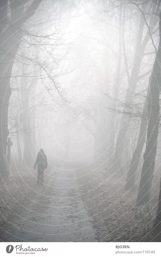 foggy woods #2 Nebel Einsamkeit kalt dunkel Baum Winter Wald nass feucht gefroren Natur Nebelstimmung Fußgänger gehen ungewiss geheimnisvoll Frau Hochformat