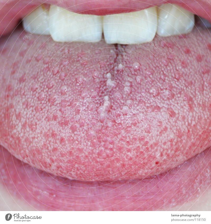 Doktorspielchen für Bärtchen-Hasser Lippen rosa rot Bart Geschmackssinn Ernährung Sinnesorgane Schleimhaut trocken feucht nass sprechen Bakterien Zahnarzt