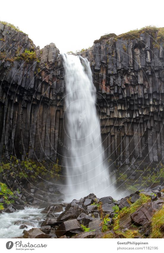 Svartifoss-Wasserfall Island Landschaft Wassertropfen Felsen Wahrzeichen Stein beobachten berühren fallen ästhetisch dunkel eckig fantastisch gigantisch schön