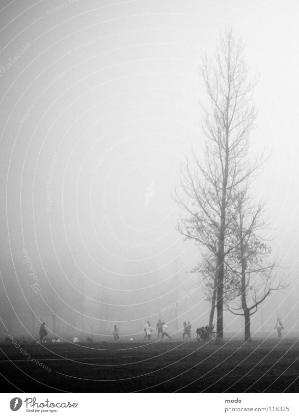 Nebel II Englischer Garten Trauer Baum Wiese Wolken Winter Herbst Fußball Mensch Rasen laufen hoch