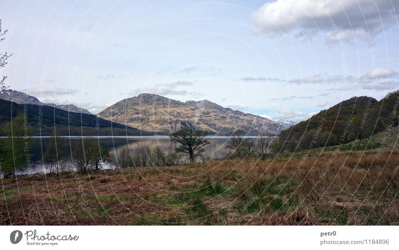 Loch Lomond Landschaft Wasser Himmel Wolken Frühling Hügel Berge u. Gebirge Highlands Gipfel Seeufer Heide Ardleish Schottland Europa Menschenleer Gelassenheit